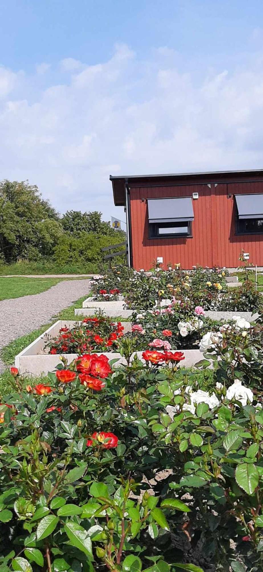 Stf Station Linne Färjestaden Kültér fotó